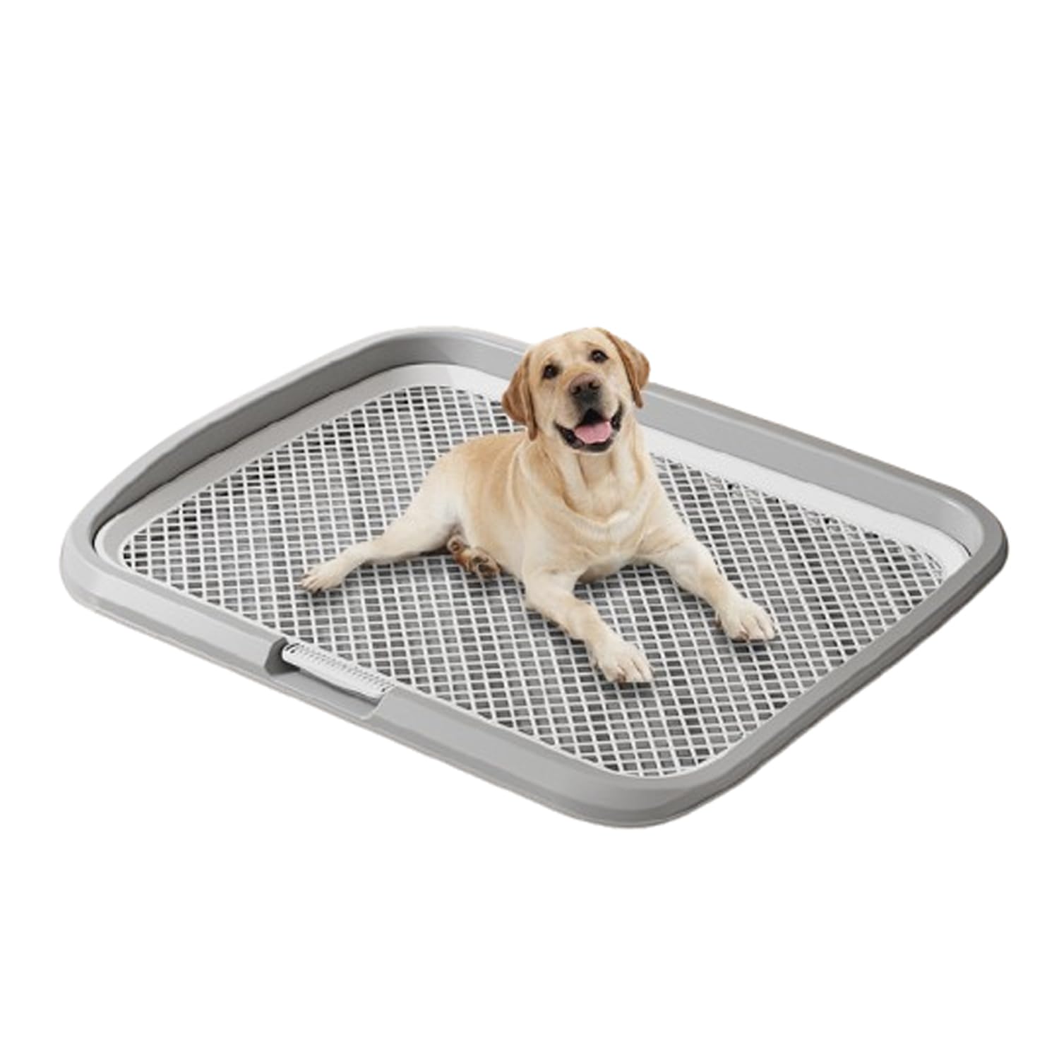 Amazon | 犬 トイレ メッシュ ワイド 大型犬 ワイド いたずら防止